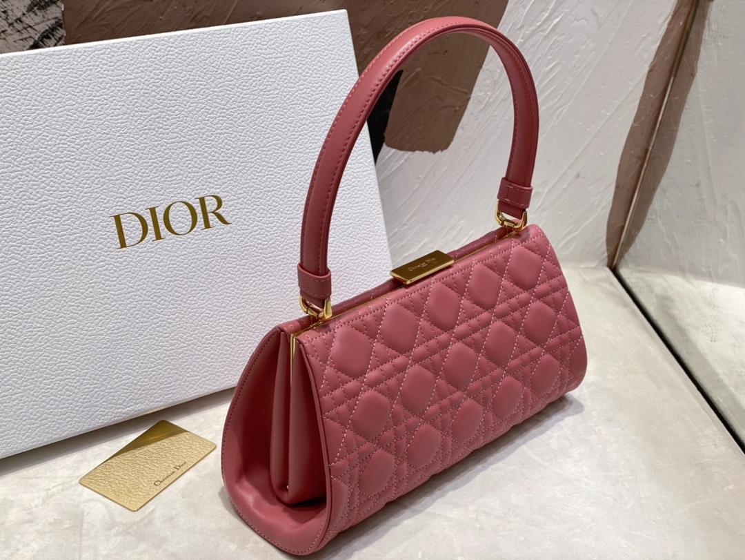 Dior New HandbagThis handbag is a new autumn 2023 item paired with a top handle showcasi