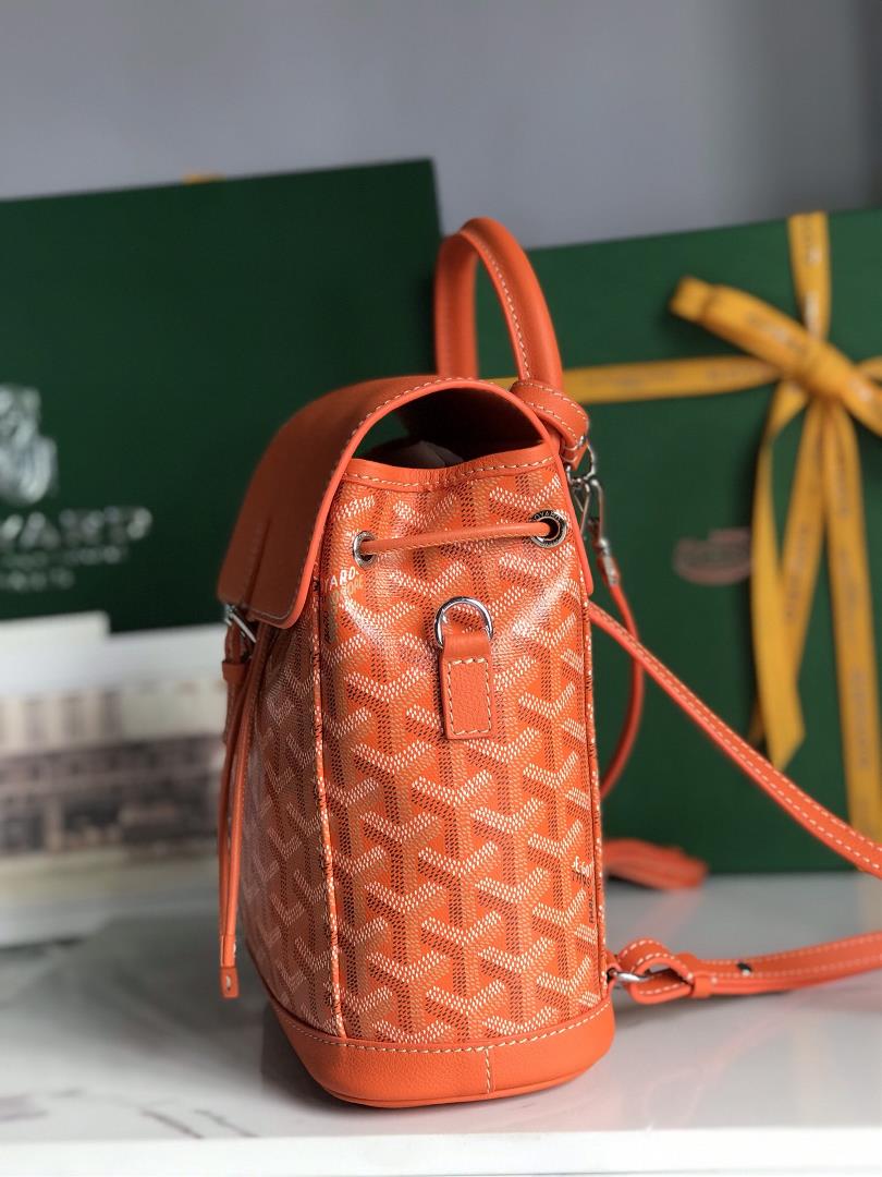 Goyard Alpin Mini Backpack Upgrade Delivery Original Gift Box Upgrade Instructions RibbonGoyar