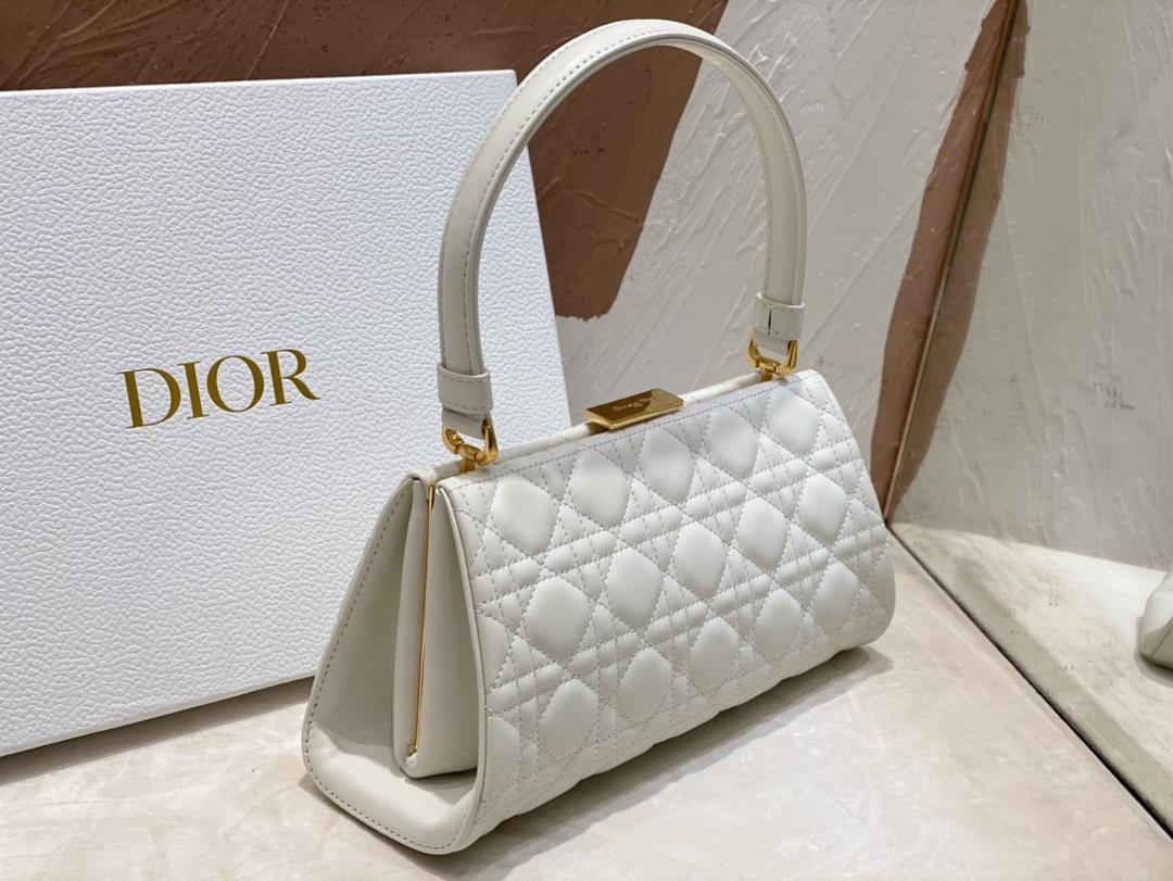 Dior New Handbag This handbag is a new autumn 2023 item paired with a top handle showcas