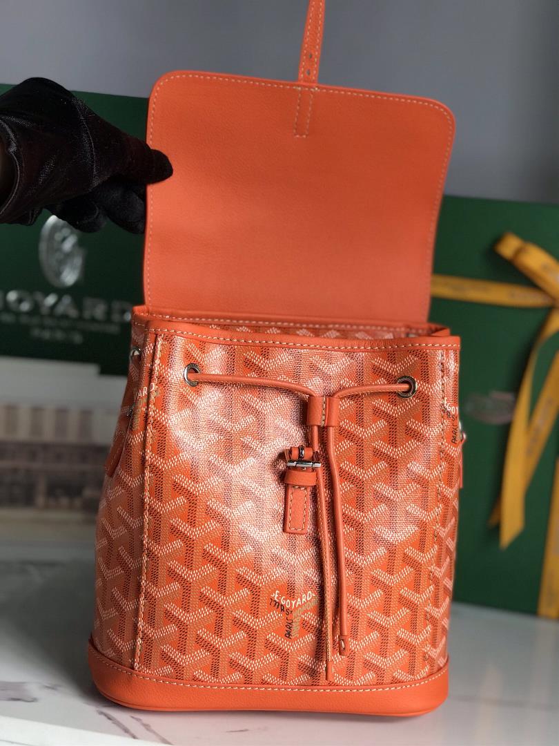 Goyard Alpin Mini Backpack Upgrade Delivery Original Gift Box Upgrade Instructions RibbonGoyar