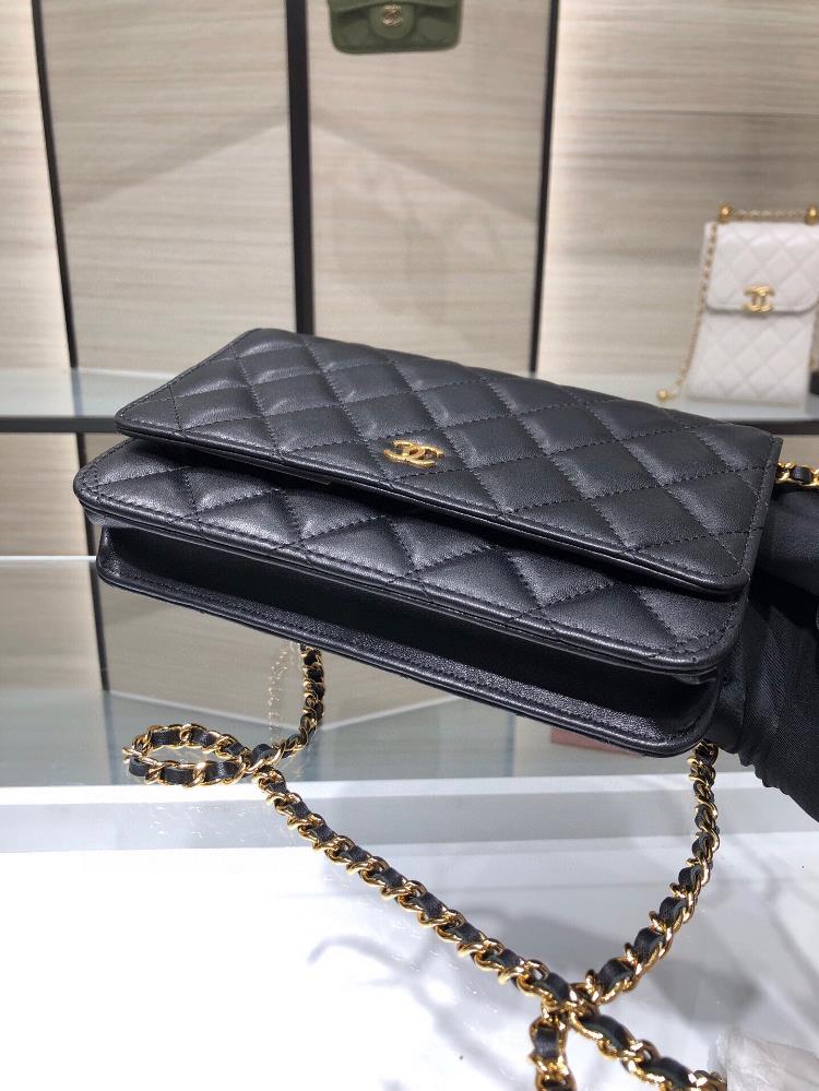 What sets the Chanel WOC Wealth Pack apart is its unparalleled functionality making it th