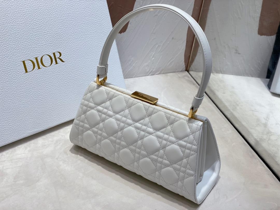 Dior New Handbag This handbag is a new autumn 2023 item paired with a top handle showcas