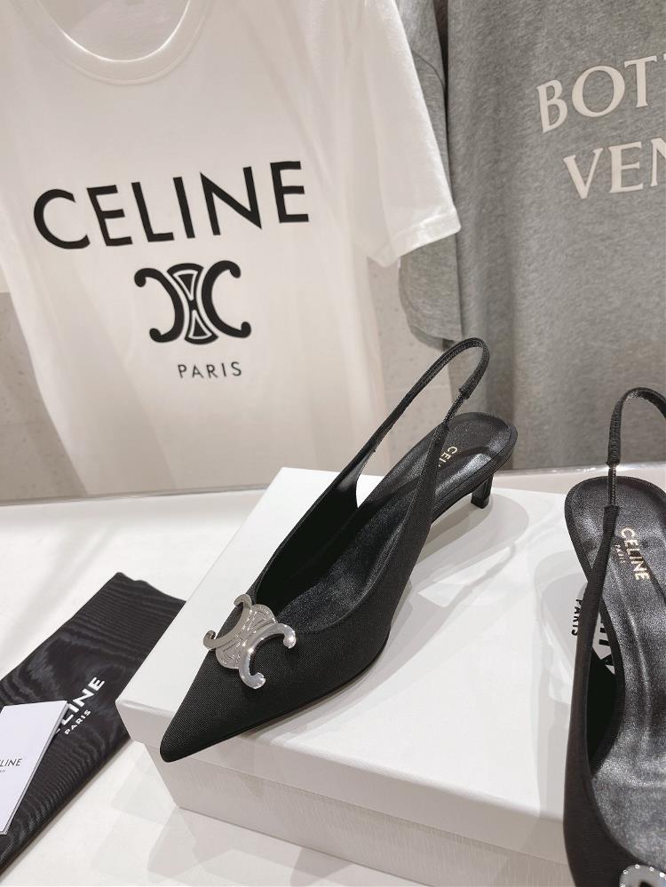 I have to admit I have quite the collection of Celine shoes and each pair holds a specia